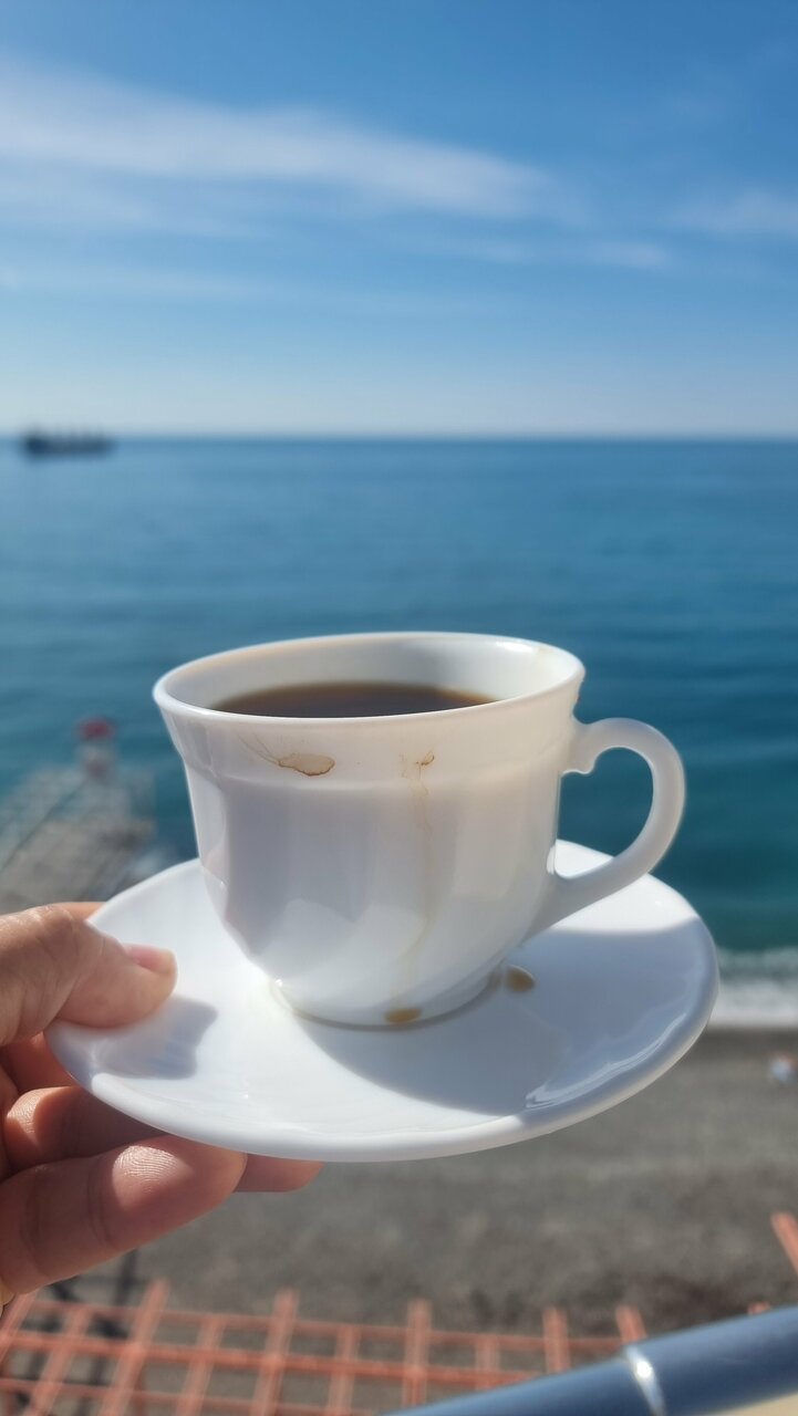 Гостиница Коралл Ялта-47