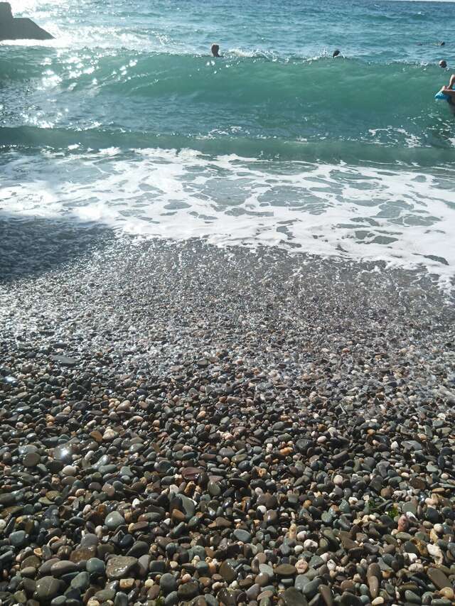 Гостиница Коралл Ялта-129